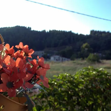 別荘 Casa Di Volpe フォルカ