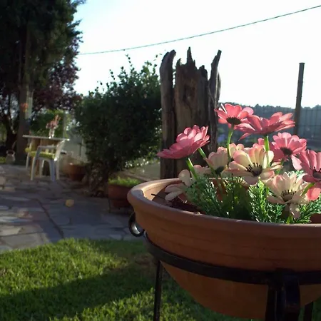 Casa Di Volpe 別荘